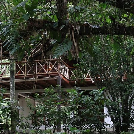 Caoni Riverside Suites - Birders Paradise by the river, Ecuadorian Chocó Puerto Quito Exterior foto