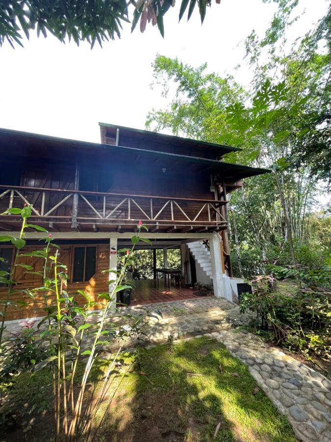 Caoni Riverside Suites - Birders Paradise by the river, Ecuadorian Chocó Puerto Quito Exterior foto