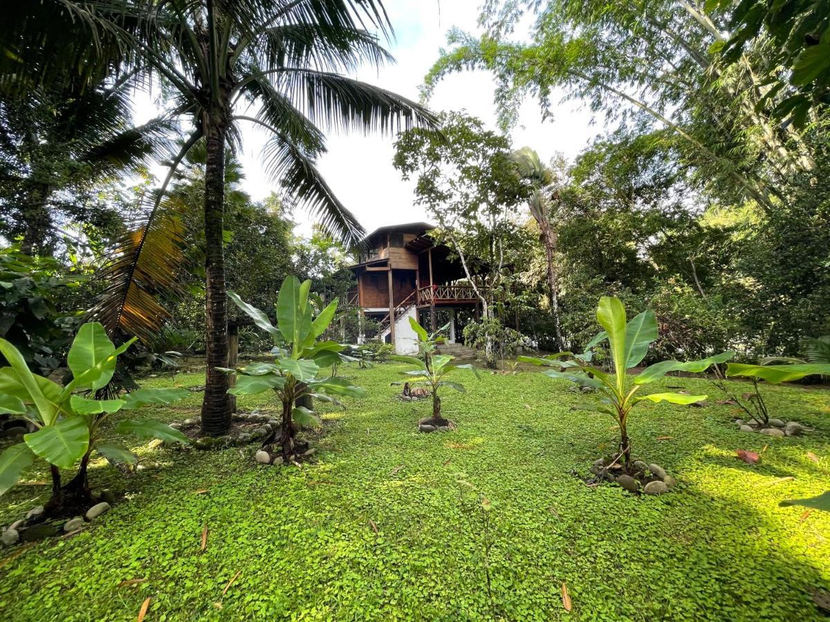 Caoni Riverside Suites - Birders Paradise by the river, Ecuadorian Chocó Puerto Quito Exterior foto