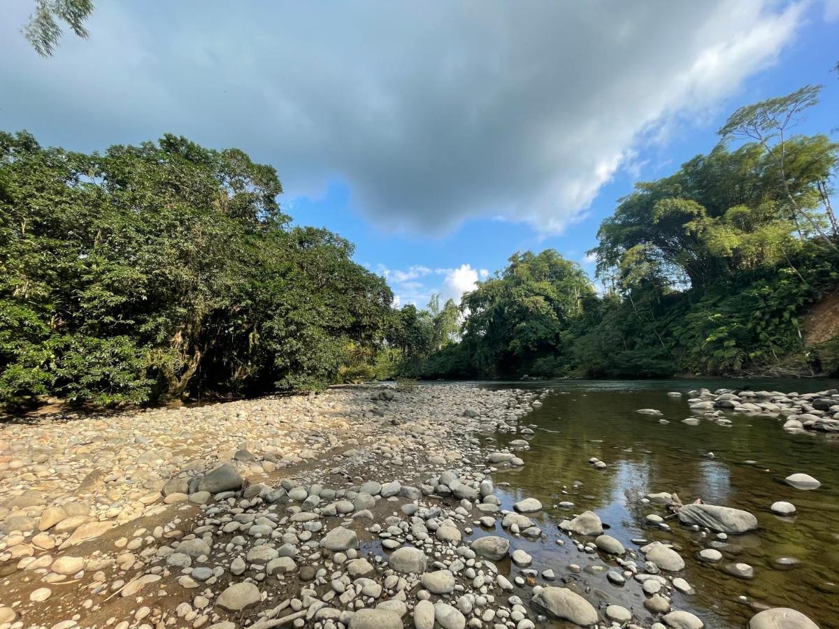 Caoni Riverside Suites - Birders Paradise by the river, Ecuadorian Chocó Puerto Quito Exterior foto