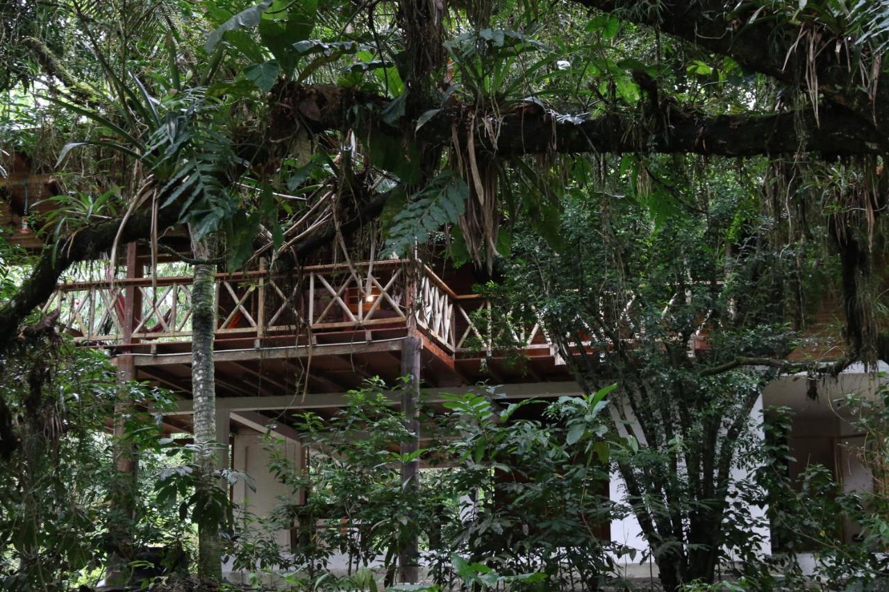 Caoni Riverside Suites - Birders Paradise by the river, Ecuadorian Chocó Puerto Quito Exterior foto