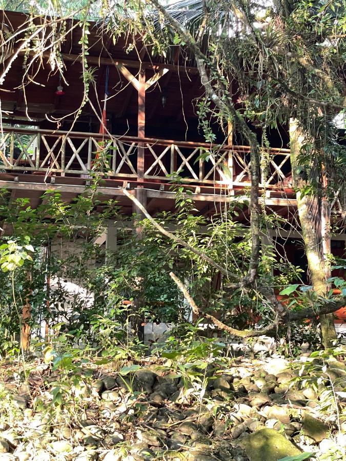 Caoni Riverside Suites - Birders Paradise by the river, Ecuadorian Chocó Puerto Quito Exterior foto