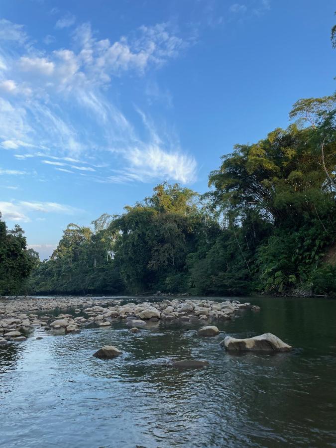 Caoni Riverside Suites - Birders Paradise by the river, Ecuadorian Chocó Puerto Quito Exterior foto